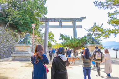 Hiroshima Day Tour