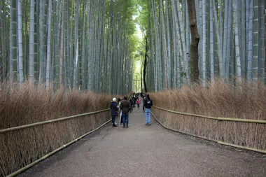 Kyoto Day Tour