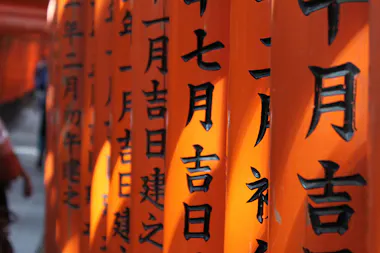 Kyoto Day Tour