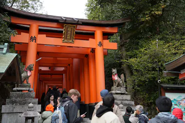 Kyoto Day Tour