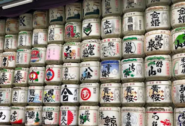 Tokyo Tour