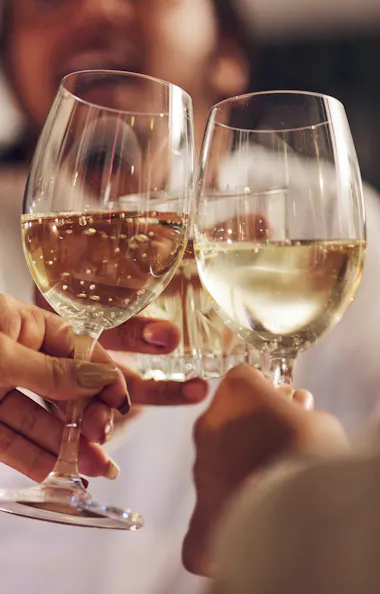 Wine Tasting Wine Tasting