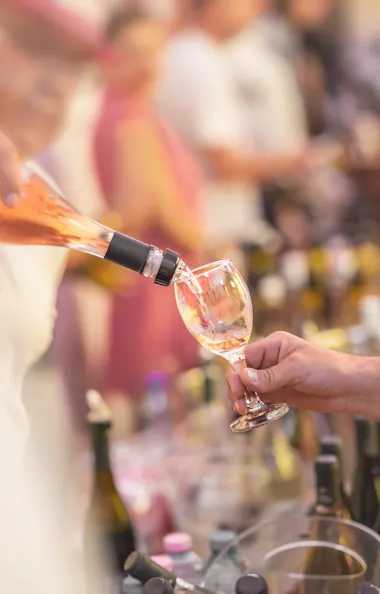 Wine Tasting Wine Tasting