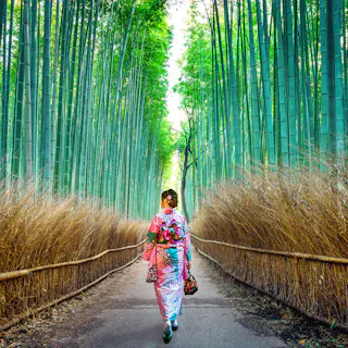 Arashiyama Bamboo Grove Arashiyama Bamboo Grove
