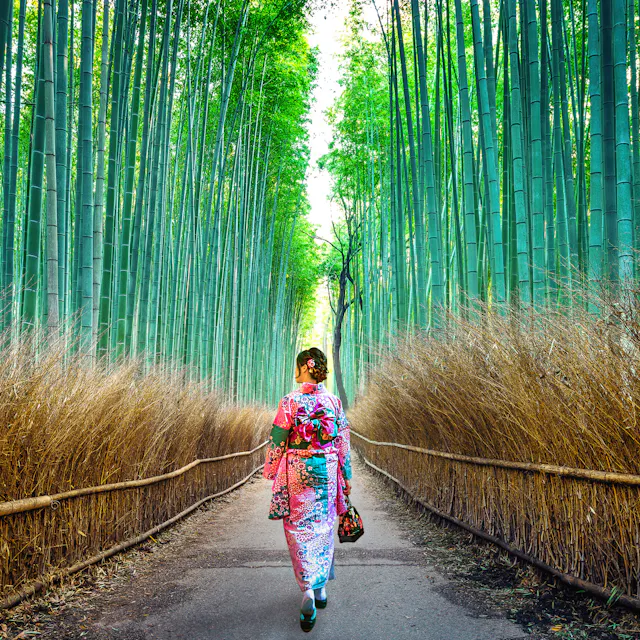 Arashiyama Bamboo Grove Arashiyama Bamboo Grove