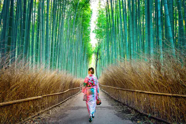 Arashiyama Bamboo Grove