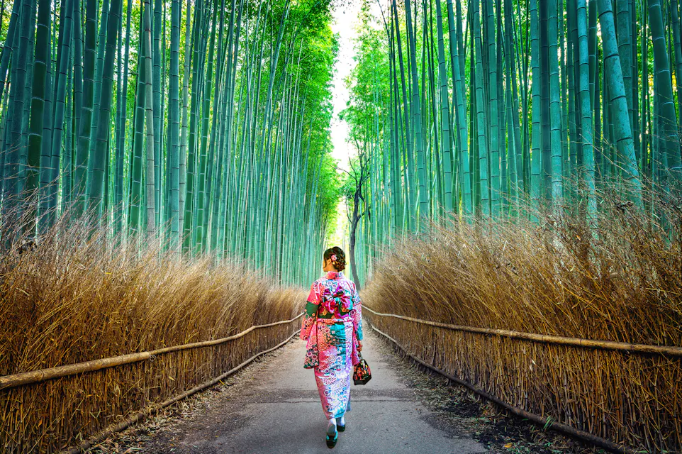 Arashiyama Bamboo Grove