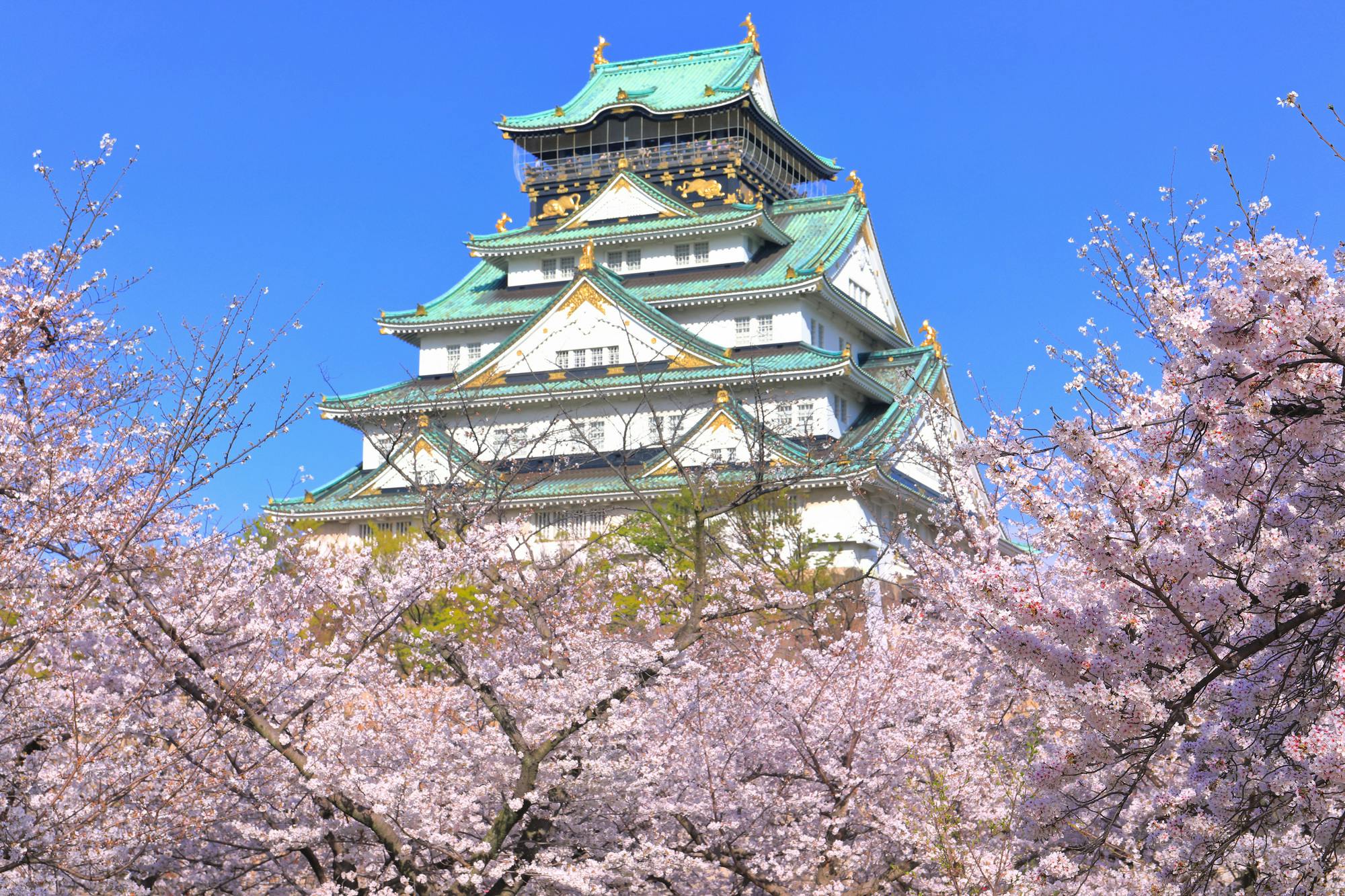 Osaka Castle