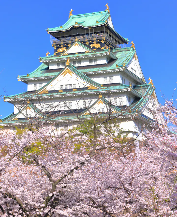 Osaka Castle Osaka Castle