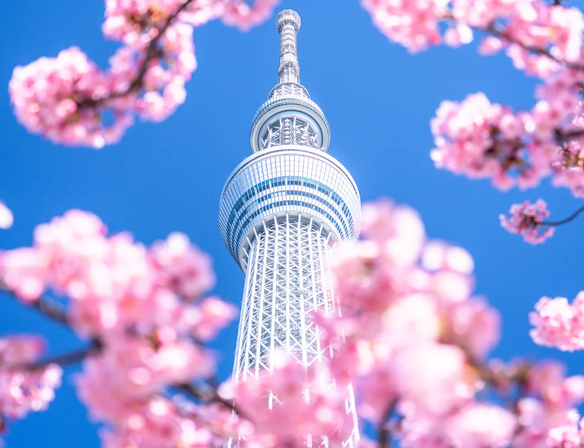 Tokyo Skytree Tokyo Skytree