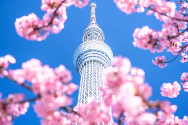 Tokyo Skytree