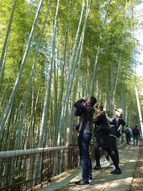 Kyoto E-Bike Tour