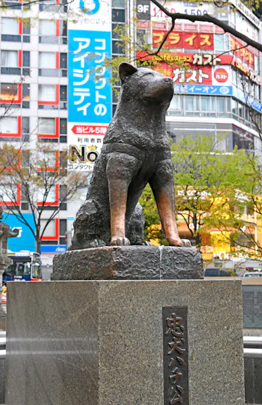 Hachiko Statue
