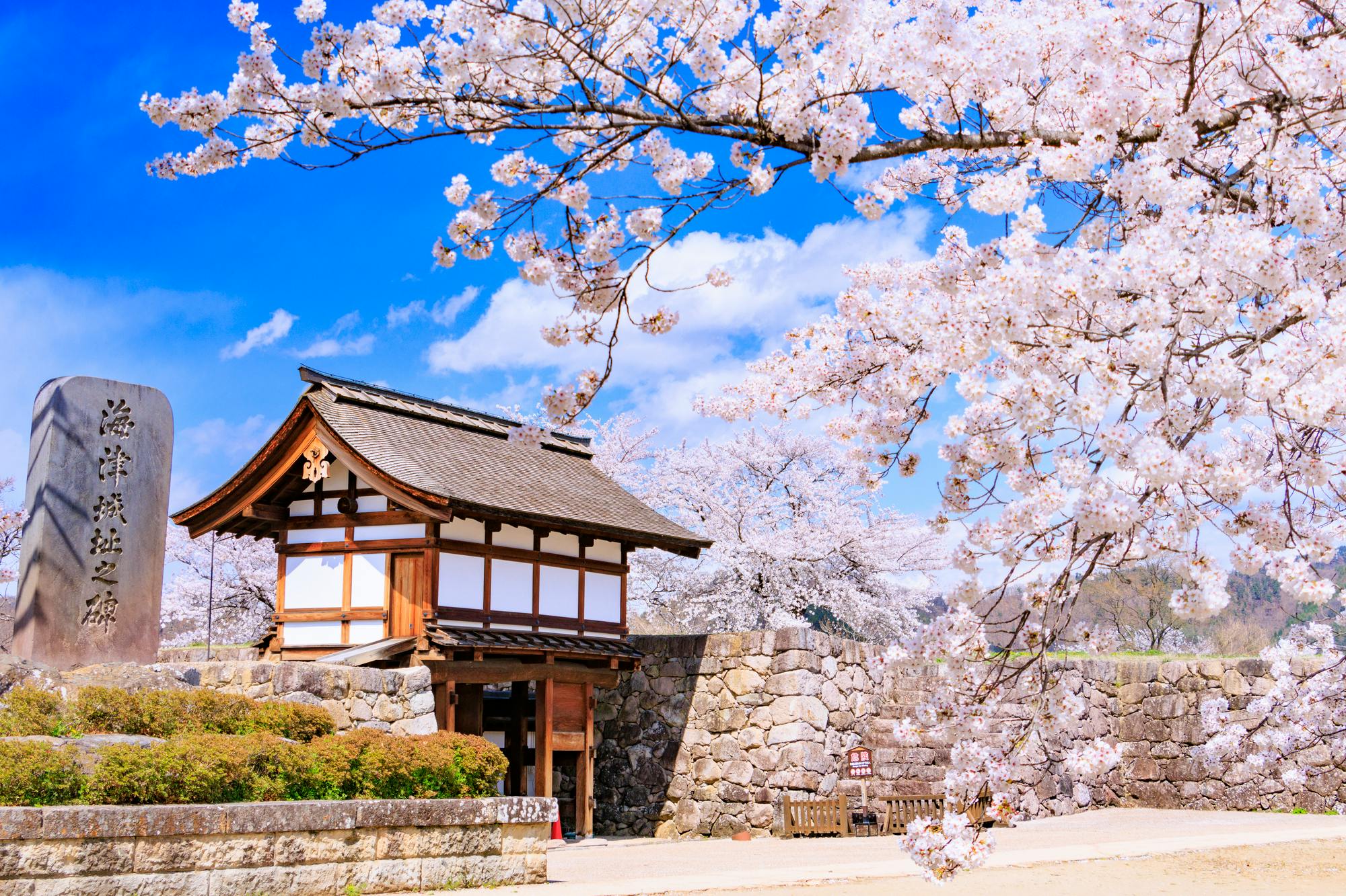 Matsushiro Castle