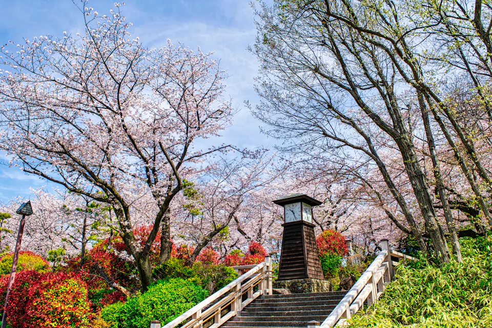 飞鸟山公园