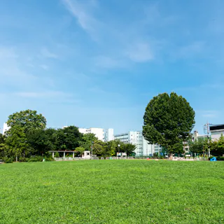 Higashiyama Park, Meguro Higashiyama Park, Meguro