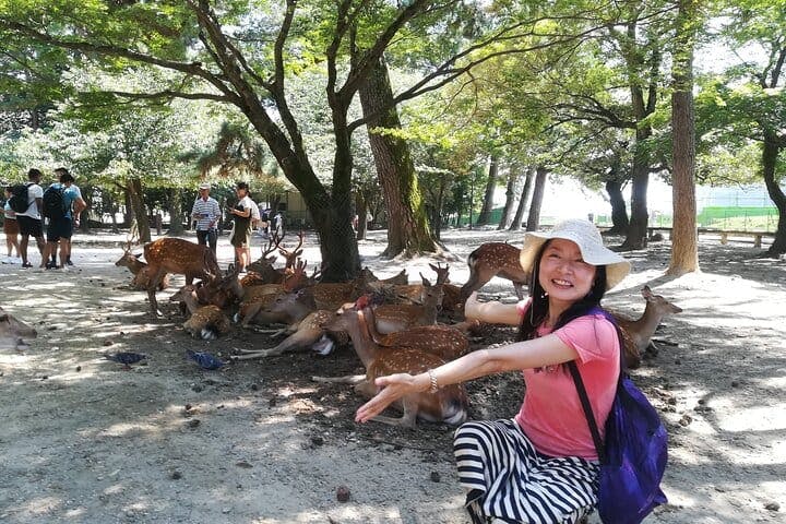 Nara Day Trip