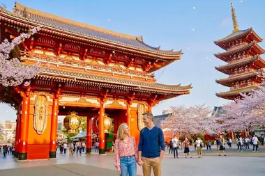 Tokyo Private Discovery Tour