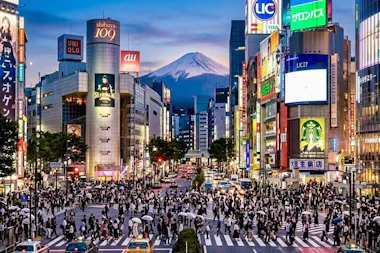 Tokyo Private Discovery Tour