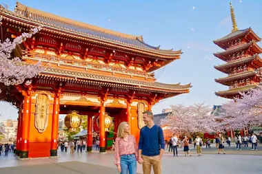 Tokyo Private Walking Tour