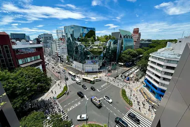 Tokyo Private Walking Tour