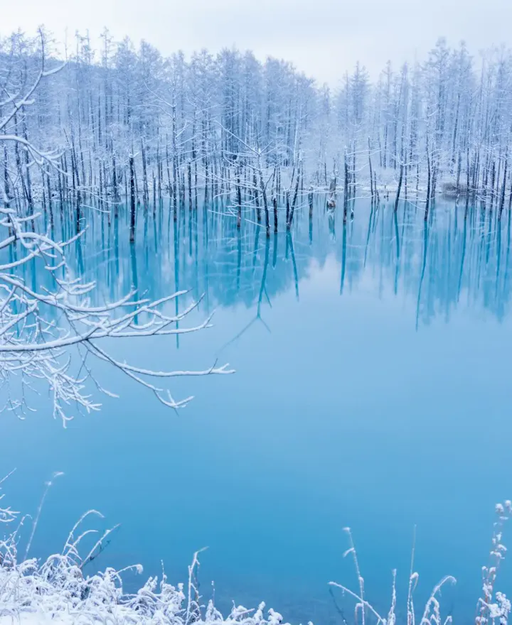 Biei Hokkaido Shirogane Blue Pond