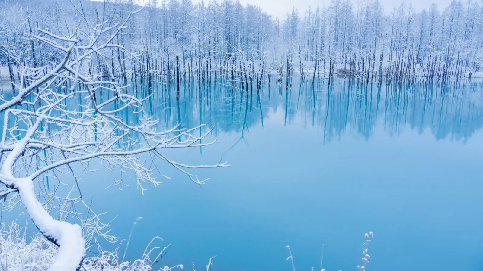 Biei Hokkaido Shirogane Blue Pond