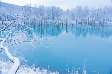 Shirogane Blue Pond