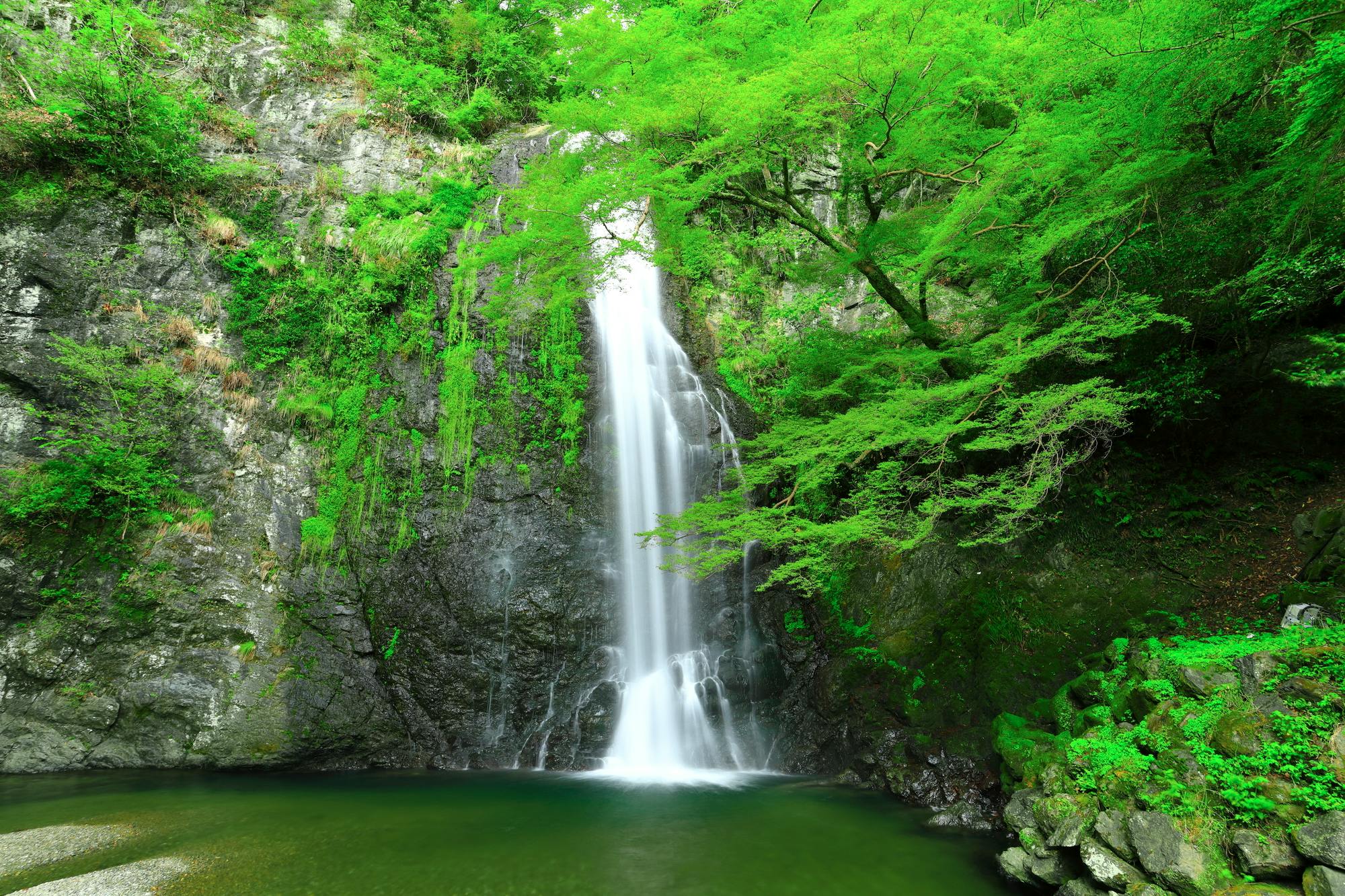 Minoo Falls