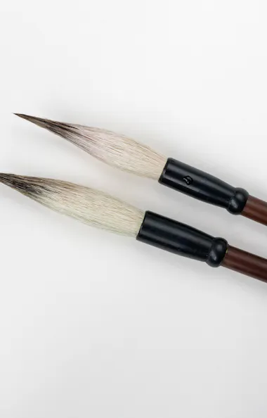 Calligraphy Calligraphy
