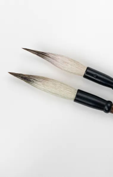 Calligraphy Calligraphy