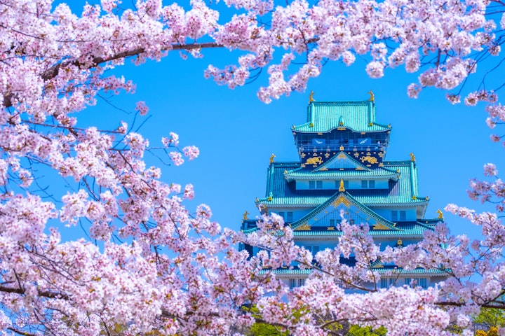 Visita privada al samurái en el Castillo de Osaka con armadura