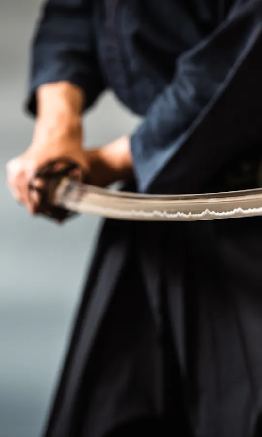Japanese Sword Japanese Sword