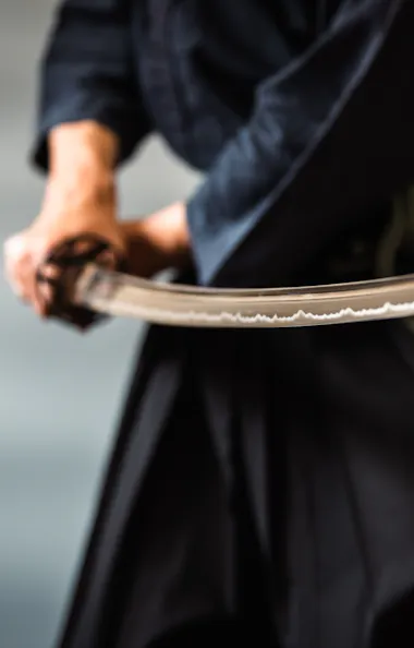 Japanese Sword Japanese Sword