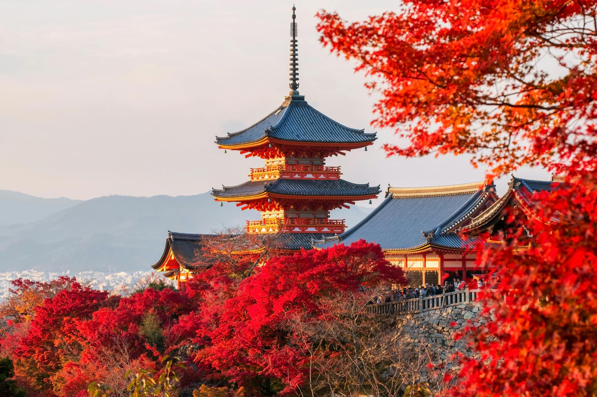 京都の寺院：訪れるのに最適な場所、料金、営業時間 - Trip To Japan