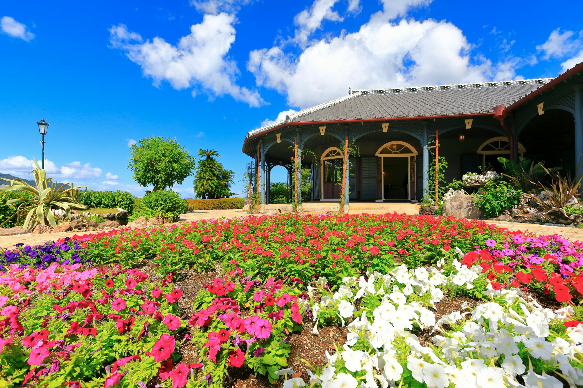 Best of Nagasaki with Japanese Tea Ceremony: 6-Hour Car Tour