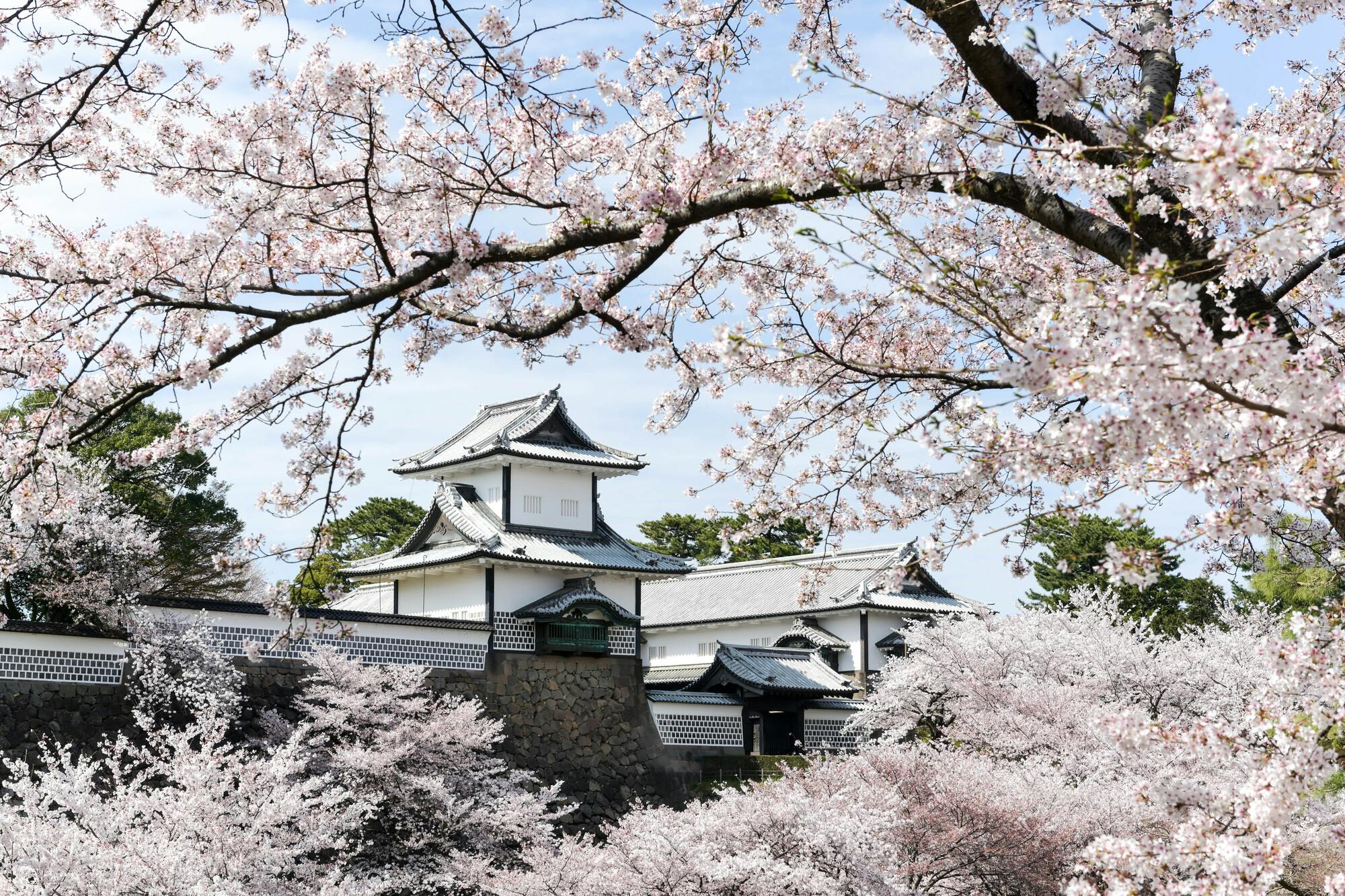 Kanazawa Ninja Temple Half-Day E-Bike Tour