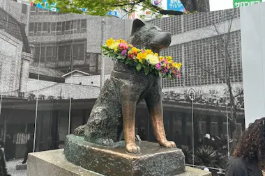 The bronze Hachiko dog statue adorned with a flower garland near Shibuya on a Tokyo cycling tour