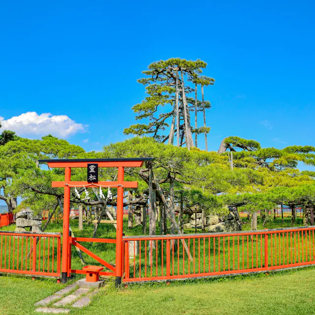 Karasaki Shrine Karasaki Shrine