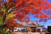 Sakamoto
