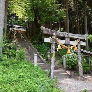 Itadori Itadori