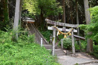 Itadori