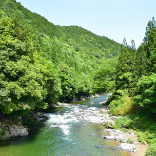 Itadori Itadori