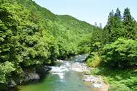 Itadori