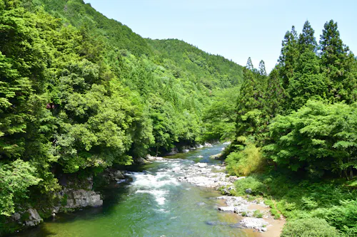 Itadori