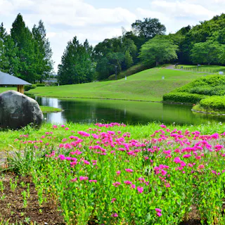 Nishikata Fureai Park Nishikata Fureai Park