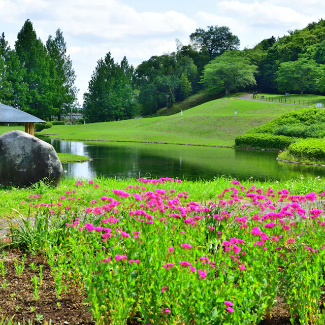 Nishikata Fureai Park Nishikata Fureai Park