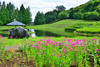 Nishikata Fureai Park