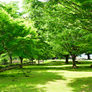 Nishikata General Park Nishikata General Park