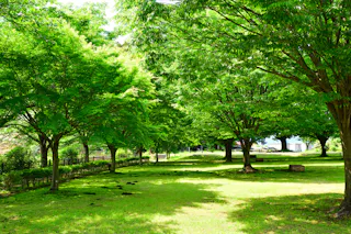 Nishikata General Park